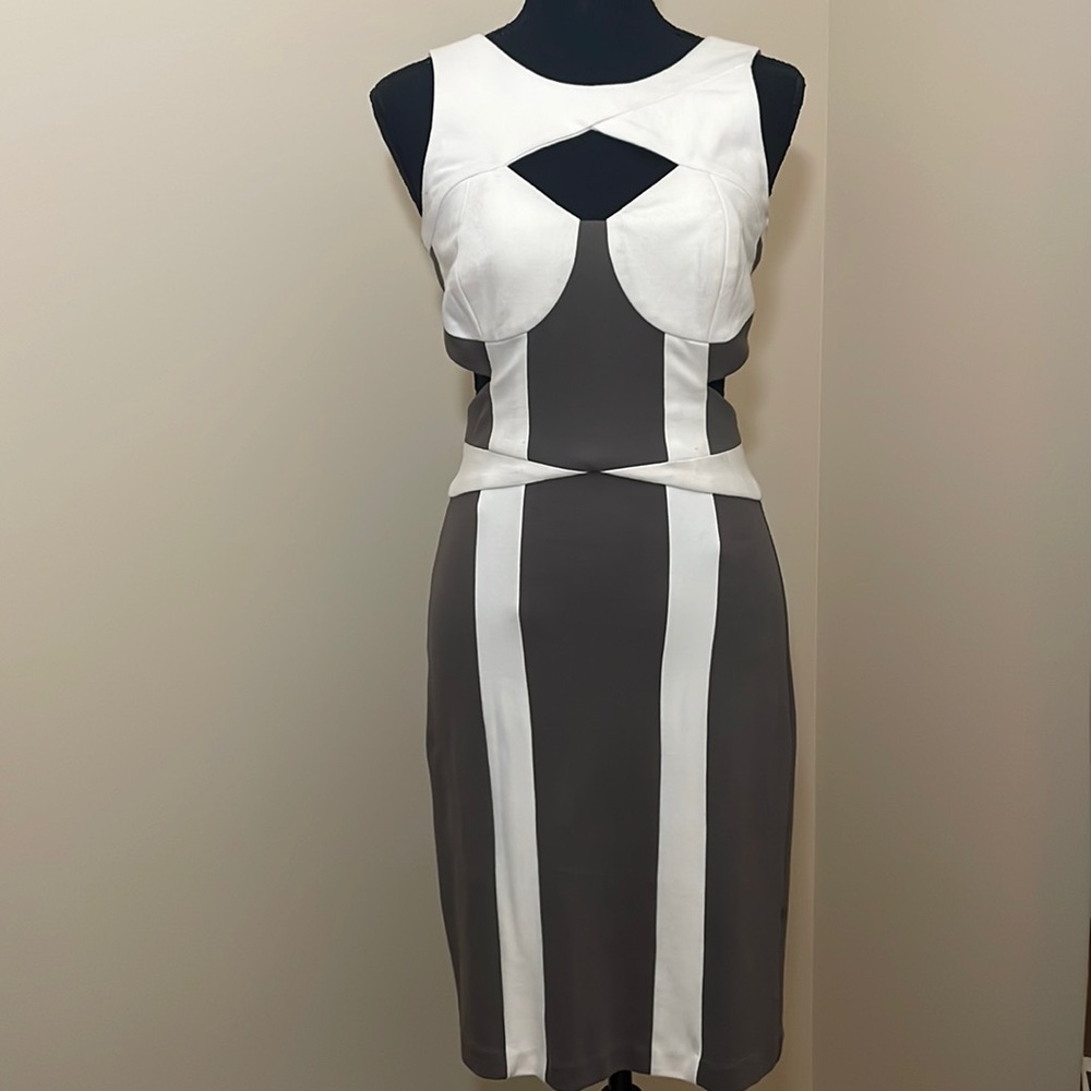 Sena Colorblock Dress